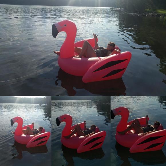 Profile Picture of Alison Hannon (@aylee223) on Poshmark