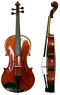 Profile Picture of Viola - Wikipediaon Wikipedia