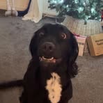 Profile Picture of Daryll Currie (@Daryll-Currie) on Facebook