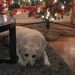 Profile Picture of Madeline Morales Mokry (@7kidsnlovinglife) on Pinterest