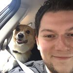 Profile Picture of Stephen Schatz (@schatzhappens) on Instagram