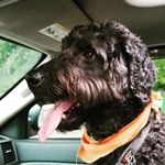 Profile Picture of Justin Boucher (@justin.boucher.9400) on Instagram
