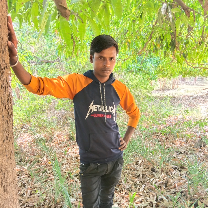 Profile Picture of arvind vaderi (@arvindvaderi) on Tiktok