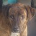 Profile Picture of William Appler (@applerwilliam1585) on Pinterest