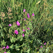 Profile Picture of Ewa Pieczykolan (@ewapieczykolan6553) on Youtube