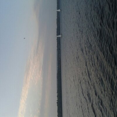 Profile Picture of lilly andrews (@lillybee12345) on Twitter