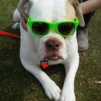 Profile Picture of Lori Heck (@lori-heck-2) on Quora