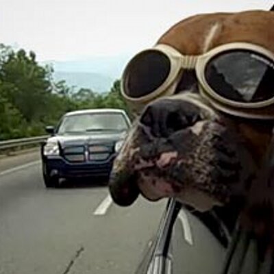 Paul Wedel - Twitter Profile Picture of Paul Wedel (@PaulWedel1) on Twitter