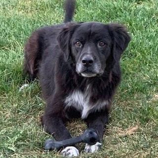 Profile Picture of Jason Laur (@jason.laur.92) on Facebook