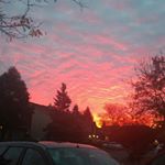 Profile Picture of Adam Moller (@adam.mollerrr) on Instagram