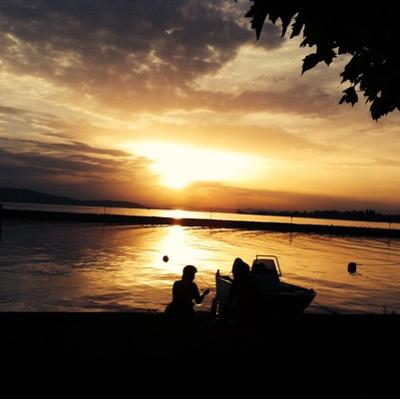 Profile Picture of Joy Ruf (@joy_ruf) on Twitter