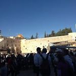 Profile Picture of David Attal (@david.attal04) on Instagram