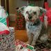 Profile Picture of Jerry Wesson (@jerry.wesson.716) on Facebook
