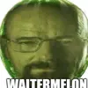 Profile Picture of WALTERMELON (@waltermelons) on Tiktok