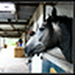 Profile Picture of carole wright (@doodles2010) on Flickr