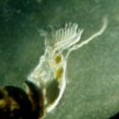 Teresa Bailey - Twitter Profile Picture of Teresa Bailey (@teresaetbailey) on Twitter