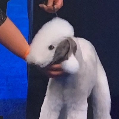 Profile Picture of 𓃵 (@Silas_Andrews) on Twitter