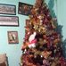 Profile Picture of Lorena Aceves (@lorena.aceves.37051) on Facebook