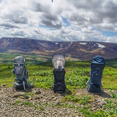 Profile Picture of Mike Roger (@PottleMike) on Twitter