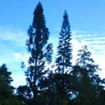 Profile Picture of Tony Macedo Soares (@tony_macedo_soares) on Instagram