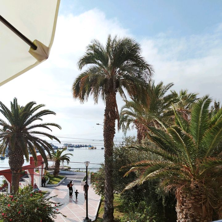 Profile Picture of Cecilia (@cecilia.agrr) on Tiktok