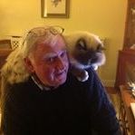 Profile Picture of Michael Laity (@michaellaity) on Pinterest