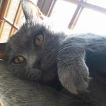 Profile Picture of Michelle Bukowski (@bukowski852) on Instagram