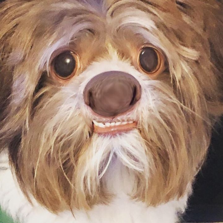 Profile Picture of Richard Claussell (@idkboy1029) on Tiktok
