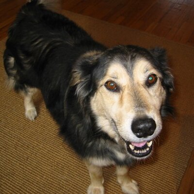 Profile Picture of Charles Smiley (@csmiley51) on Twitter