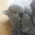 Profile Picture of Thomas Schramm (@thomas.schramm.37051579) on Facebook
