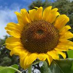 Profile Picture of Rob Hutchison (@bob_hutch) on Instagram