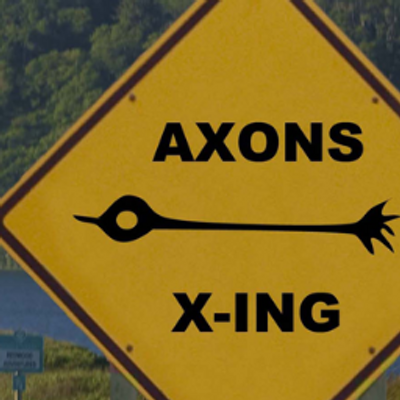 Profile Picture of Nicolas Renier (@nicolasrenier) on Twitter