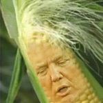 Jacob Mayhew - Instagram Profile Picture of Jacob Mayhew (@jacob_mayhem) on Instagram