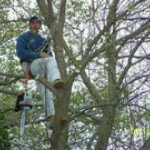 Profile Picture of Jeffrey LaRocque (@jeffreylarocque) on Instagram