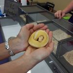 Profile Picture of Denise Sledzinski (@denisesledzinski) on Instagram