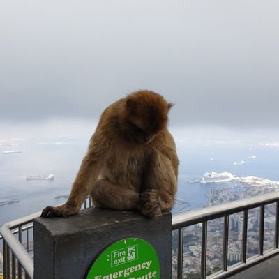 Profile Picture of Daniel Woolley (@Dan_Woolley) on Twitter