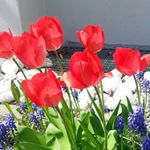 Profile Picture of Hyunhee Choi (@dumofr) on Instagram