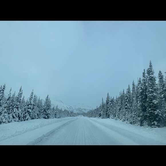 Profile Picture of Court Ruthven (@courtruthven) on Poshmark