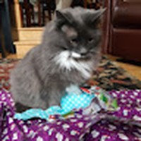 Profile Picture of Isabel Mcnicholas (@isabel-mcnicholas) on Quora