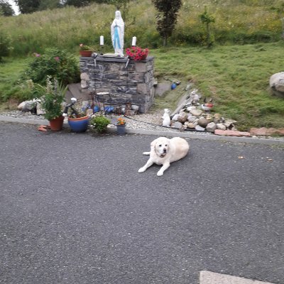 Profile Picture of Stella Caeli (@CrellinNick) on Twitter