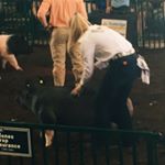 Profile Picture of ⓁⒾⓃⒹⒺⒺ (@lindee_lammon) on Instagram