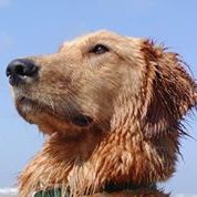 Profile Picture of Gary Baragona (@garybaragona) on Pinterest