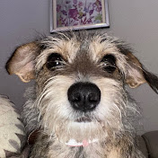 Profile Picture of Clare Harris (@clareharris3816) on Youtube