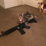 Profile Picture of Nathan Schulz (@nathan_77777) on Instagram