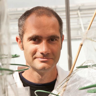 Brande Wulff - Twitter Profile Picture of Brande Wulff (@BrandeWulff) on Twitter