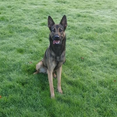 Profile Picture of Danny Byrne (@danbyrne_13) on Twitter