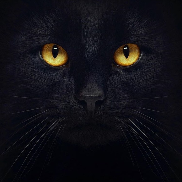 Profile Picture of Jimmy Velasquez (@jvela19) on Poshmark