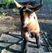 Profile Picture of Johnathan Shultz (@johnathan.shultz.511) on Facebook