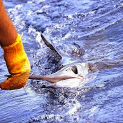 Profile Picture of Chris Rourk (@finaddict25) on Youtube