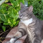 Profile Picture of Paula Deaver (@Paula-Deaver) on Facebook